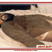 آلبوم شهداء الحجاز