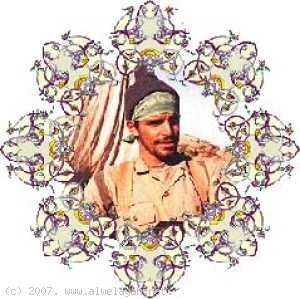 الشهيد السيد محمد ضياء