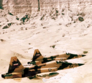 استمرارا لمناورات حماة الولاية.. تمرين أحدث السبل لنقل الوقود للمقاتلات في الليل