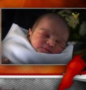 عماد مغنية يعود