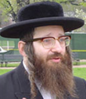 الحاخام وايس: الكيان الإسرائيلي كيان شيطاني