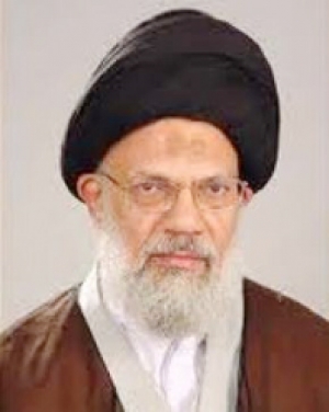 لمحة عن مبدأ ولاية الفقيه