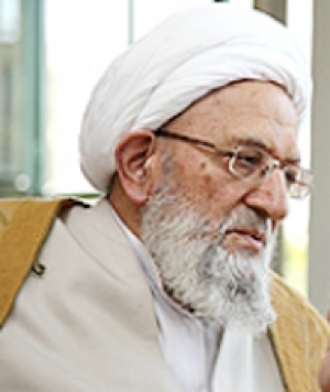 آية ‌الله مهدوي كني: الجهاد هو أساس تطور وتقدم الإسلام 