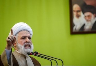 الشيخ نعيم قاسم: الحفاظ على المقاومة أمانة في أعناقنا