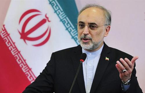 الدكتور صالحي: توجيهات القائد المعظم هي السراج الذي يستنير به الوفد النووي المفاوض 