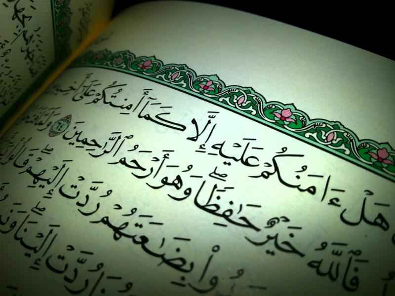 ينشر لأول مرة - عندما سخر الله الكلب لكشف المؤامرة