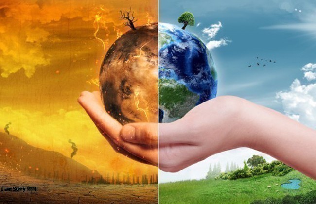 أهمية الحفاظ على البيئة