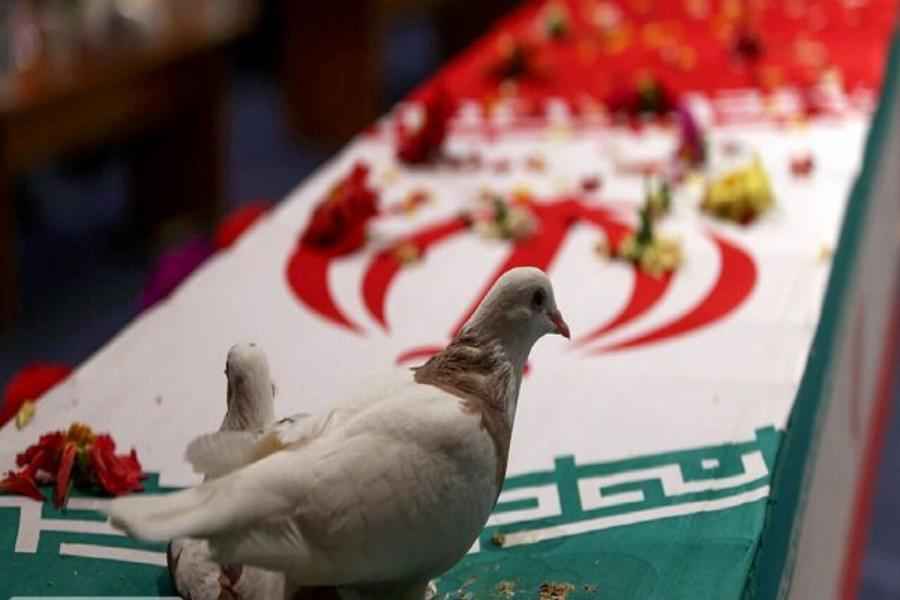 مشاهد من لقاءات الودية لأولاد الشهداء مع الإمام الخامنئي (دام ظله)