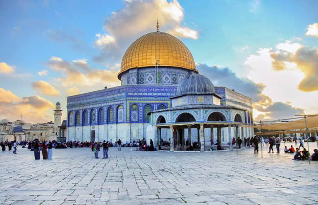 فلسطين لا ولن تنتهي