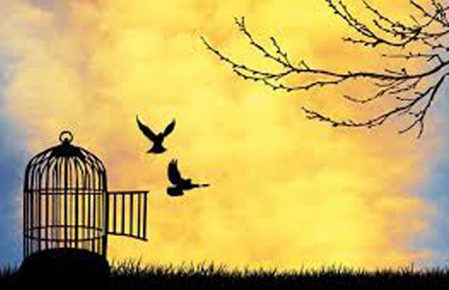 الشعوب تعشق الحرية والاستقلال والعزة الوطنية وستجدها في ظل الاسلام