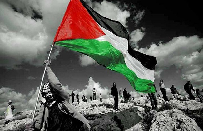 قضية غزة القضية الأولى في العالم