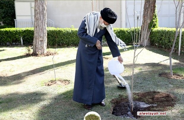 بمناسبة يوم الشجرة؛ قائد الثورة الإسلامية: تدمير الغابات والبيئة والغطاء النباتي هو تدمير المصالح الوطنية