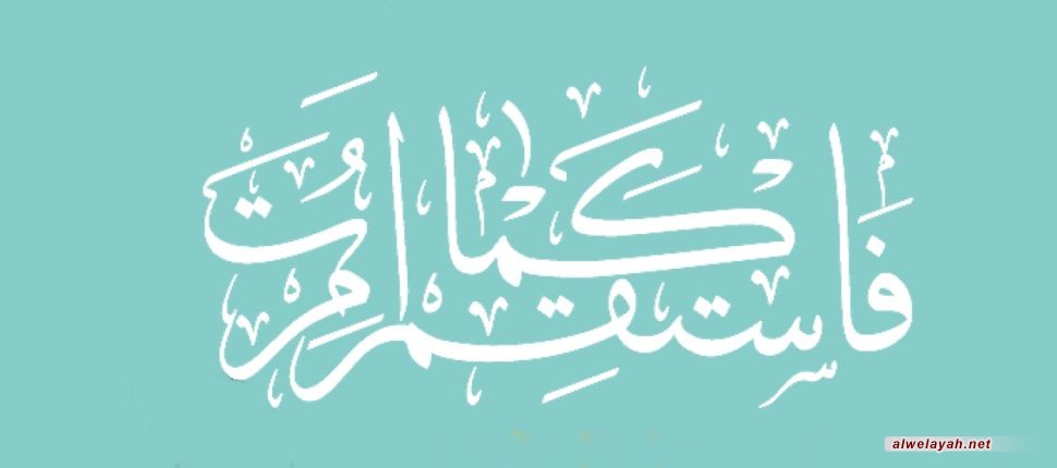 الاستقامة سبيل الانتصار (*)