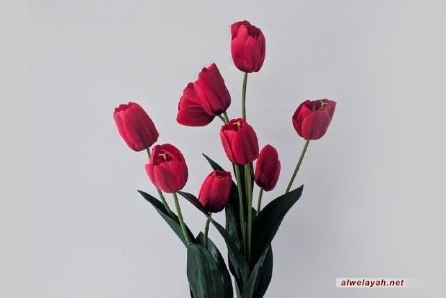 كلّ أبنــائي شهـــداء