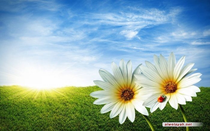 الشهادة ميراثٌ عظيم (2)