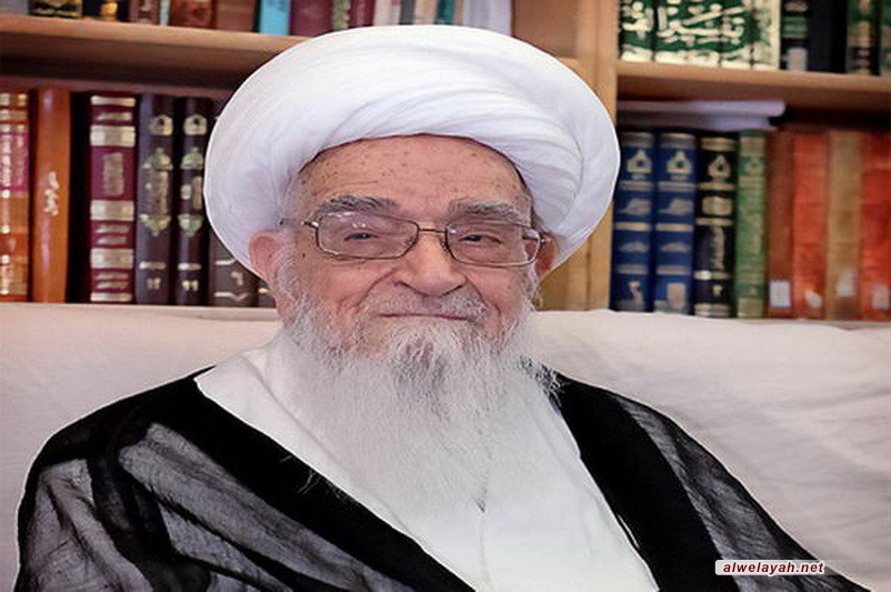 المرجع صافي الكلبايكاني: أي خطوة في سبيل خدمة زوار الإمام الحسين تعد عملا عظيما