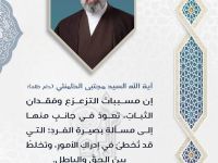 السيد مجتبى 1